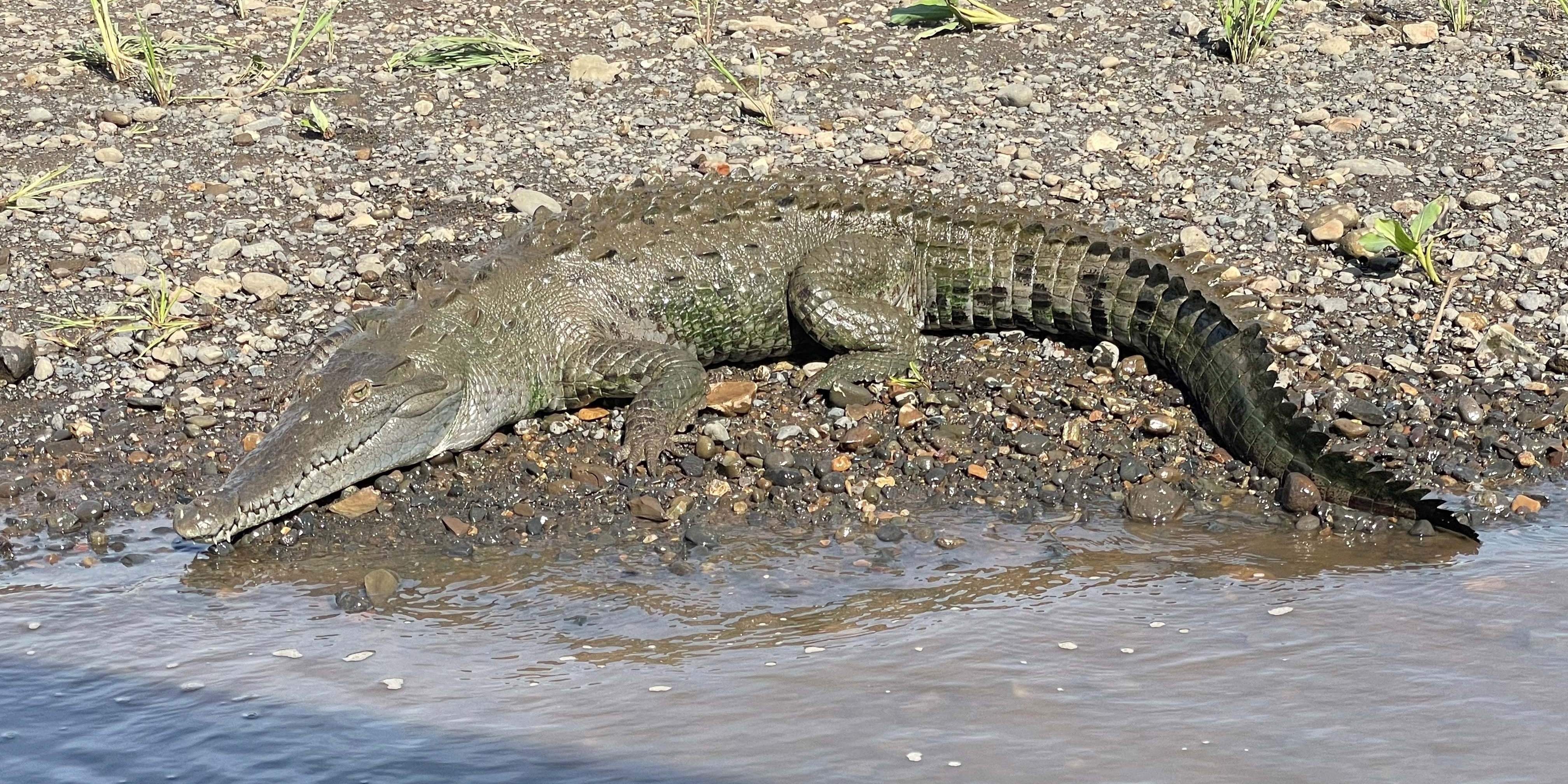 Costa Rica